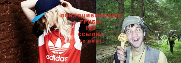 бошки Абинск