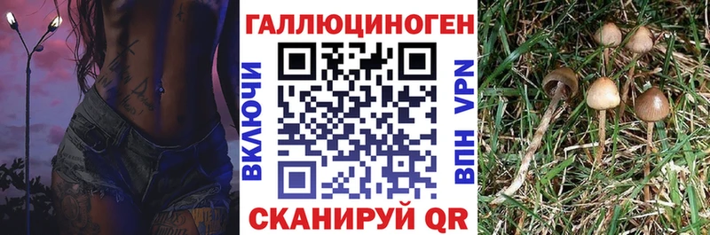 Псилоцибиновые грибы Psilocybine cubensis  где можно купить наркотик  Юхнов 